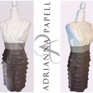 ADRIANNA PAPELL - Formal Dress With Color Block. Back Zipp/Eyelet closure Sz 8